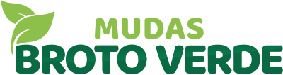 Mudas Broto Verde